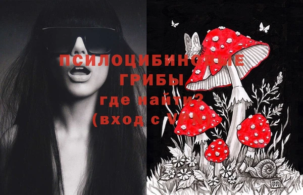 гашик Нягань