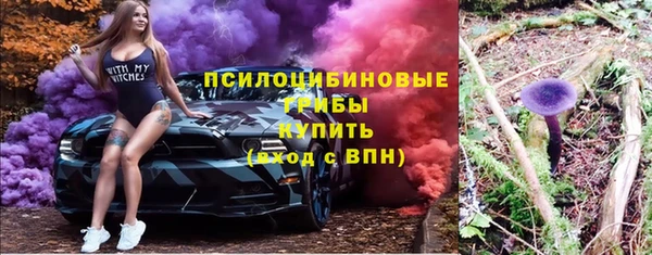 ALPHA-PVP Няндома