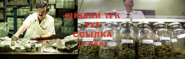 гашик Нягань