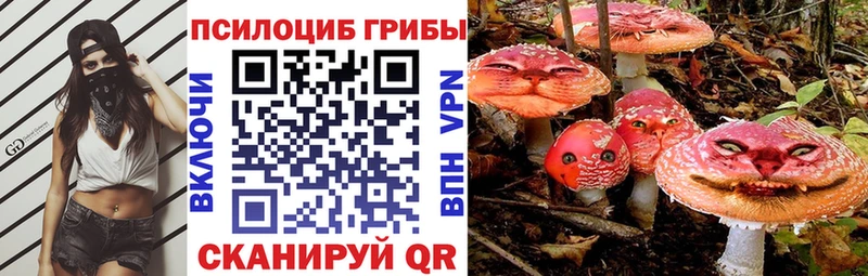 Псилоцибиновые грибы Magic Shrooms  продажа наркотиков  Лодейное Поле 
